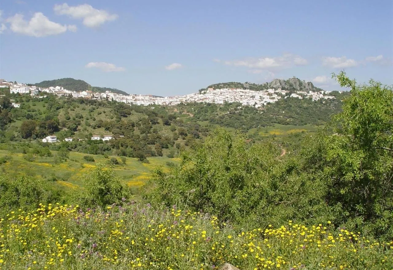 אסטפונה Apartment Boulevard 205
